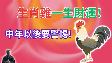 1981生肖雞|生肖雞: 性格，愛情，2024運勢，生肖1993，2005，2017